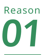 reason01