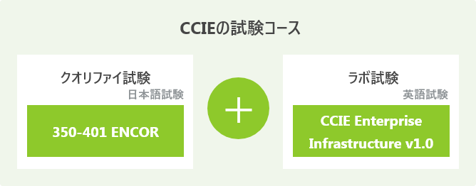 CCIEの試験コース