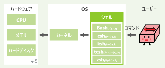 シェル